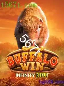 BuffaloWin